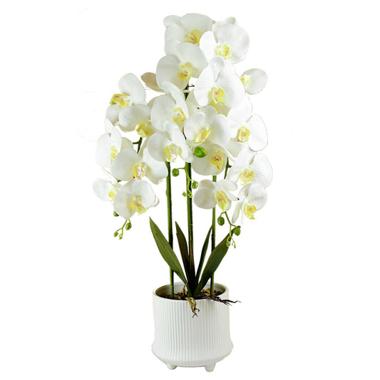 Mű orchidea，Cserepes magas műnövény, valódi tapintás 70cm
