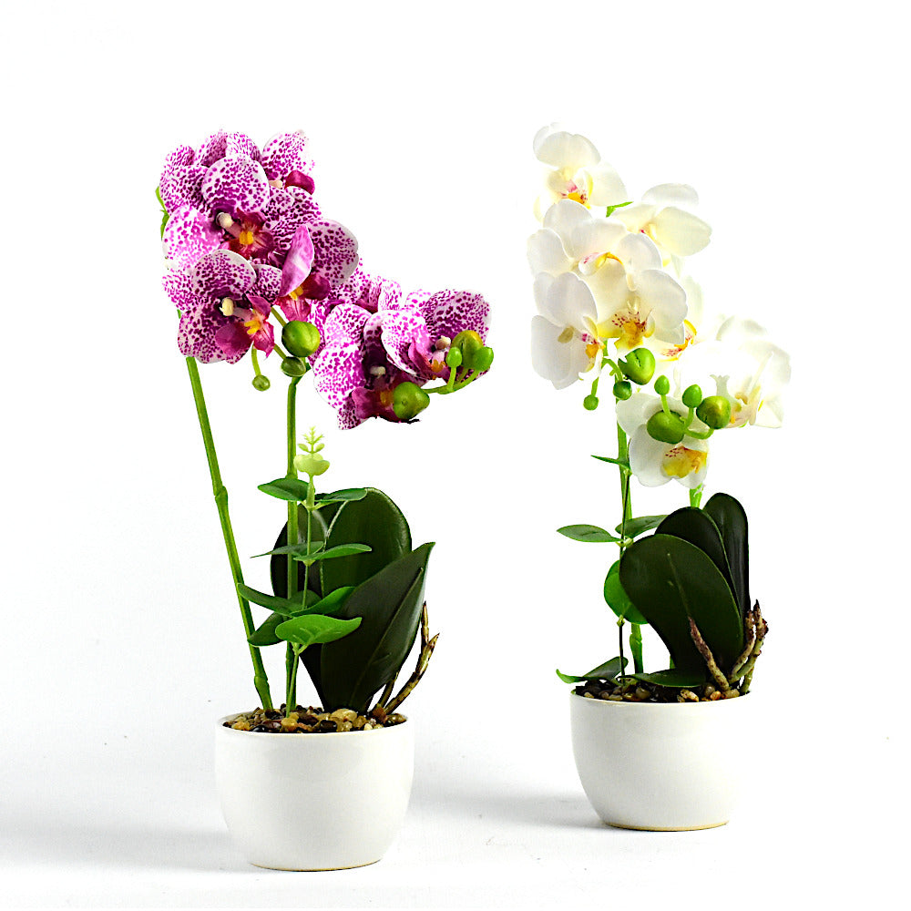 Mű orchidea, Cserepes kisebb műnövény,szett 2 db, valódi tapintás 35cm