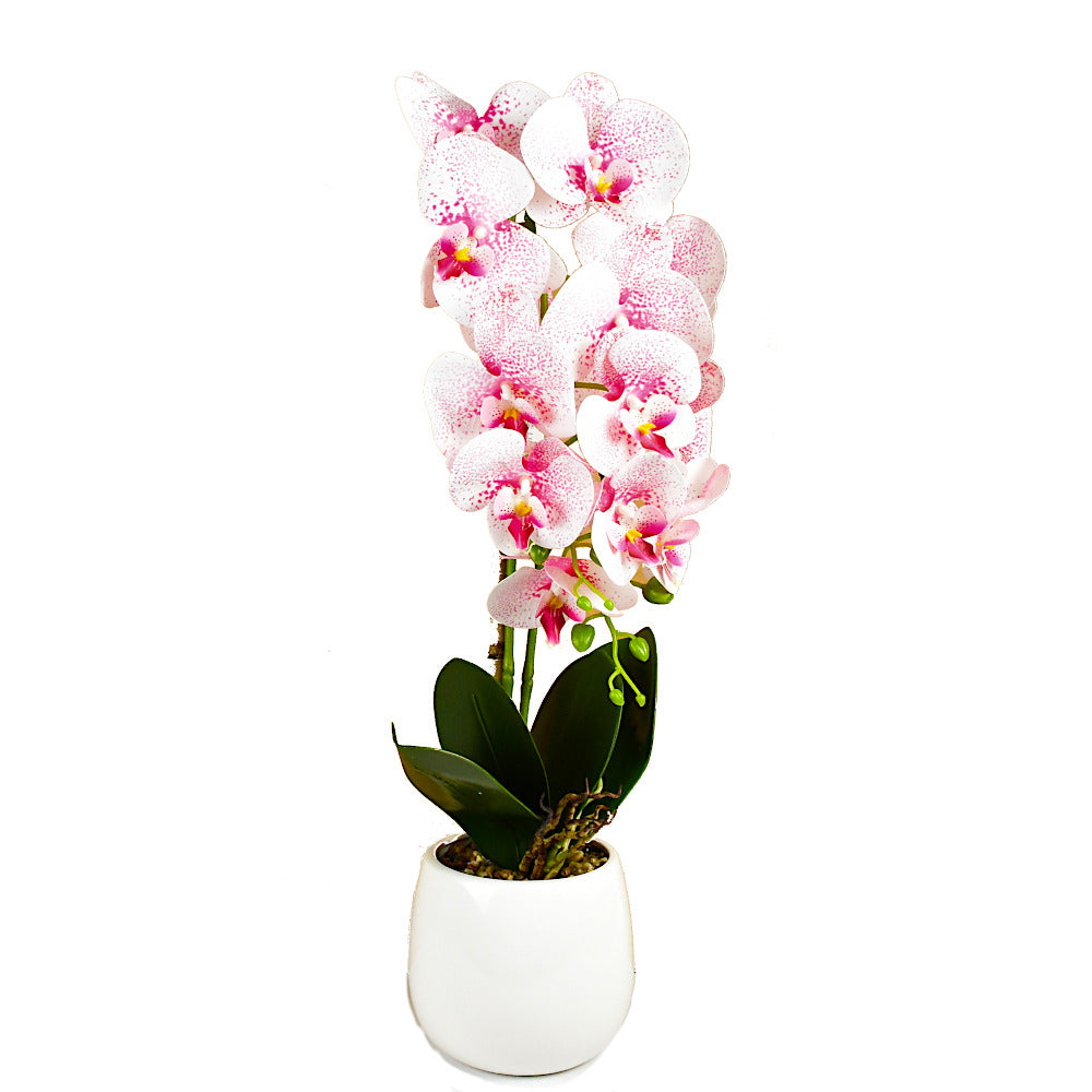 Mű orchidea,Cserepes magas  műnövény, valódi tapintás 60cm
