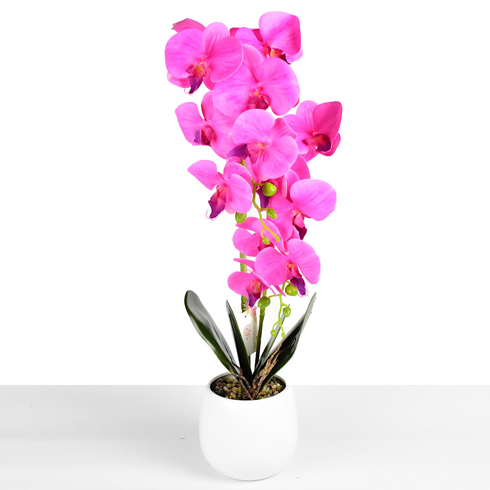 Mű orchidea,Cserepes magas  műnövény, valódi tapintás 60cm