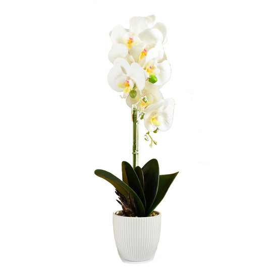 Mű orchidea，Cserepes művirág, valódi tapintás 50cm