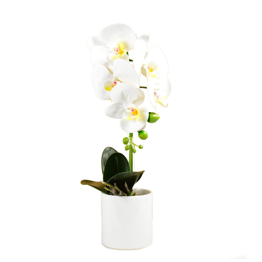 Mű orchidea，Cserepes  művirág, valódi tapintás 40cm