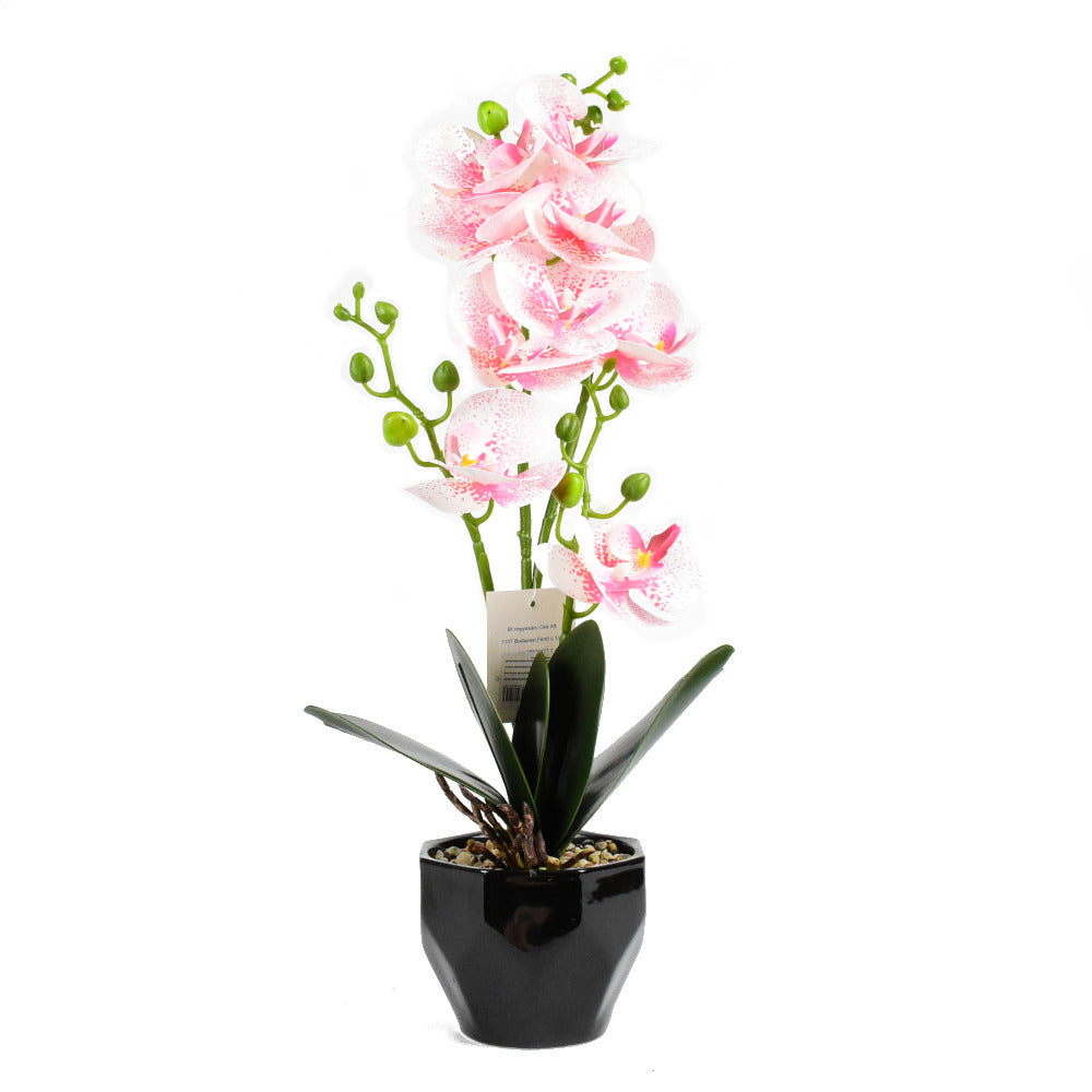 Mű orchidea，Cserepes  művirág 4 szálas,valódi tapintás 50cm