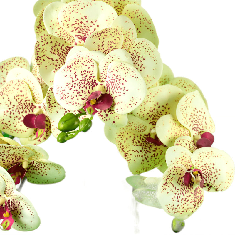 Cserepes műnövény, orchidea