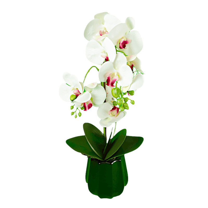 Cserepes műnövény, orchidea