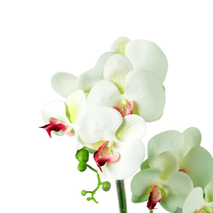 Cserepes műnövény, orchidea fehér