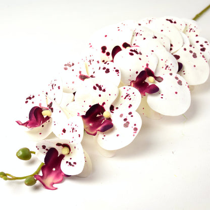 3D Orchidea Művirágok