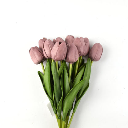 Mini tulipán